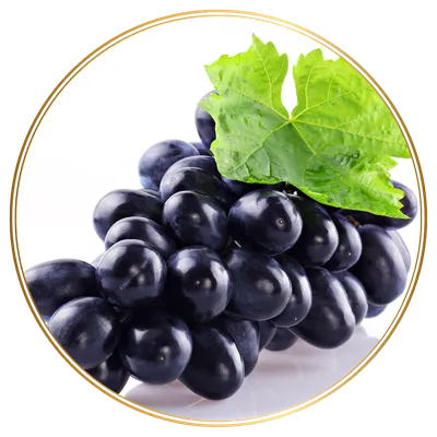 ส่วนผสม สารสกัดเมล็ดองุ่น (Grape Seed) ใน Rio Bright Diamond